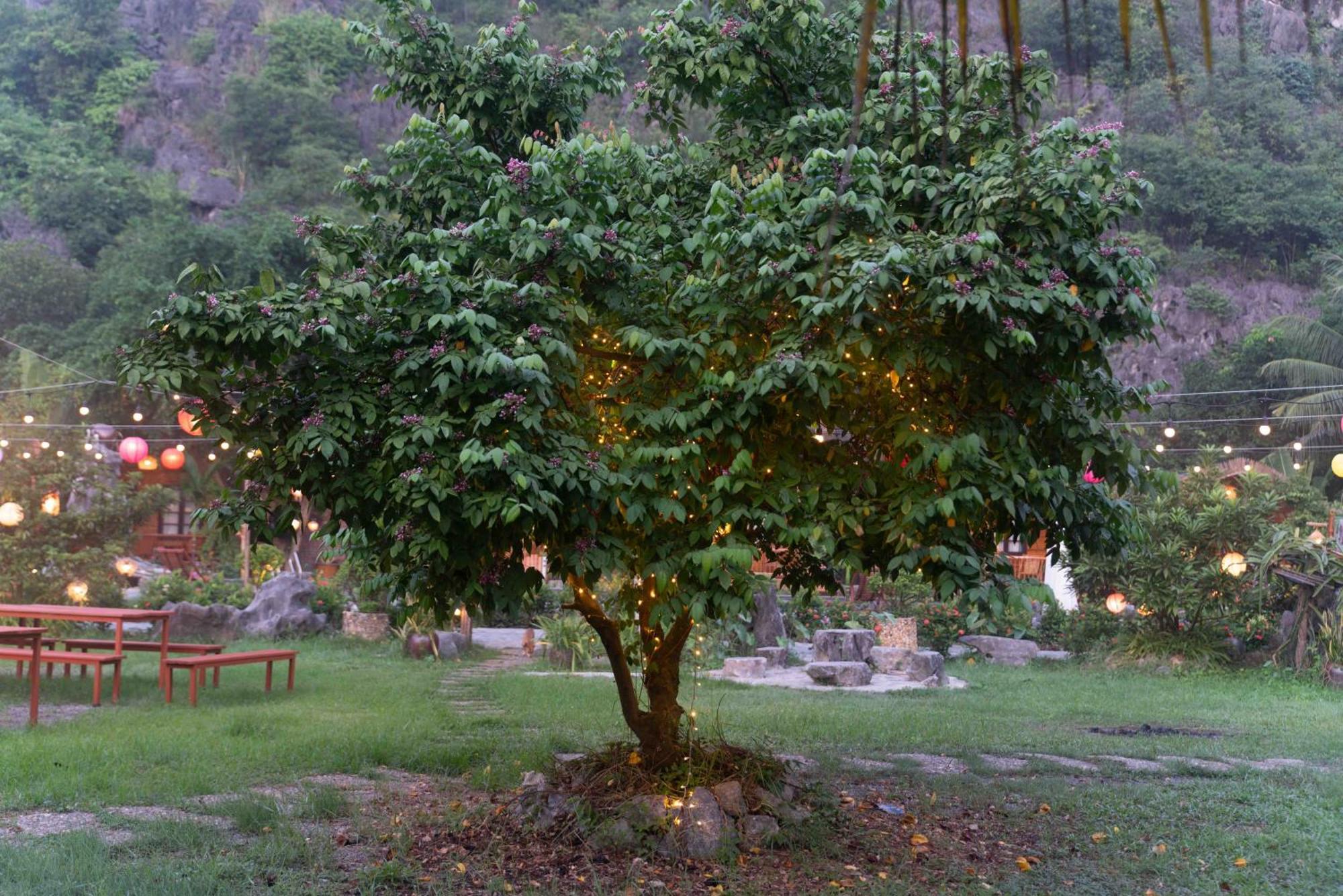 The Goat Boutique Resort 닌빈 외부 사진